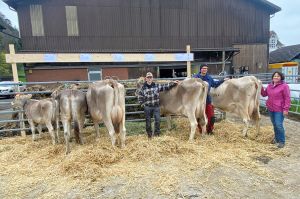 72 Tessa120.1082.8604.4 Bucheli-Zimmermann Bruno Brunnen paul caduff